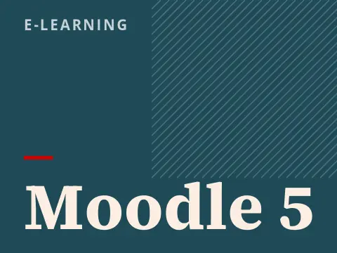Errore Invalid Parameter in Moodle 5